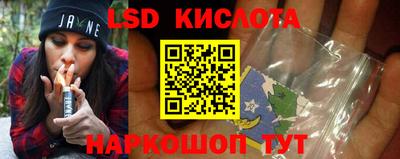 дживик Кингисепп