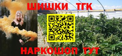 дживик Кингисепп